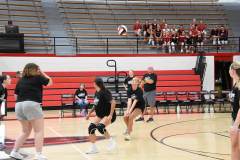 Whitley-Volleyball-Alumni4